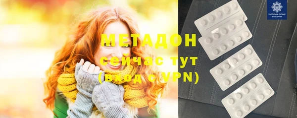 прущие грибы Алзамай