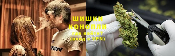 прущие грибы Алзамай