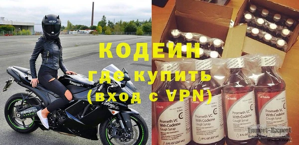 прущие грибы Алзамай