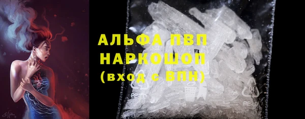 прущие грибы Алзамай