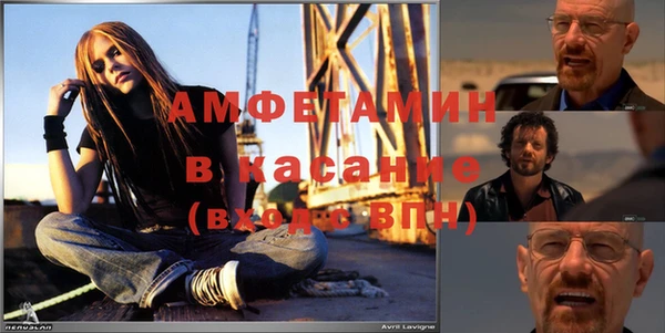 прущие грибы Алзамай