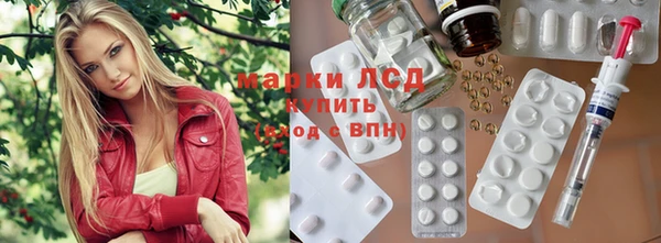 прущие грибы Алзамай